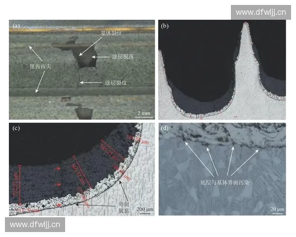 等张收缩现象的机理分析及其在工程材料中的应用研究